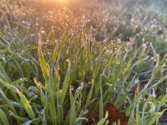 Similar image 22285814