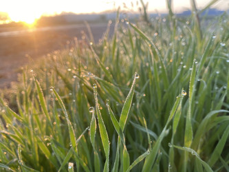 Similar image 22285825