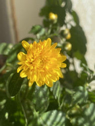 Similar image 22285826