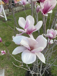 Similar image 22285829