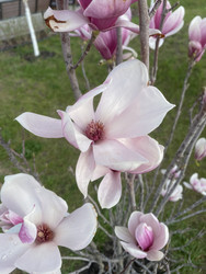 Similar image 22285830