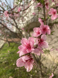 Similar image 22285832