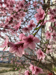 Similar image 22285833