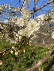 Similar image 22285835