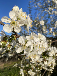 Similar image 22285836