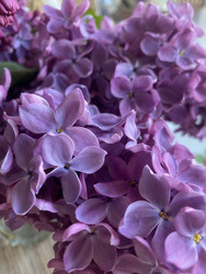 Similar image 22285837