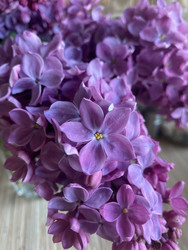 Similar image 22285838