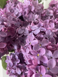 Similar image 22285839