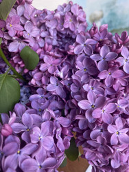 Similar image 22285840