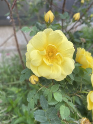 Similar image 22285842