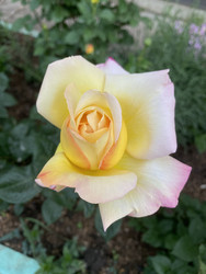 Similar image 22285843