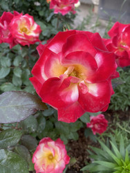 Similar image 22285844