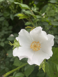 Similar image 22285846