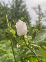 Similar image 22285847