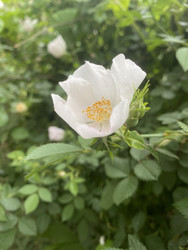 Similar image 22285848