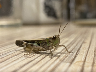 Similar image 22285850