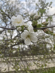 Similar image 22285851