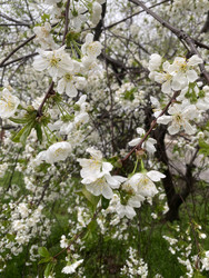 Similar image 22285852