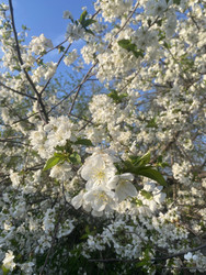 Similar image 22285853