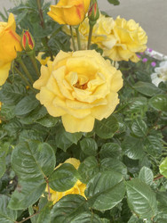 Similar image 22285854