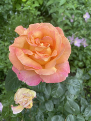 Similar image 22285855