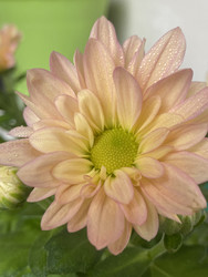 Similar image 22285856