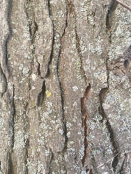 Similar image 22285857