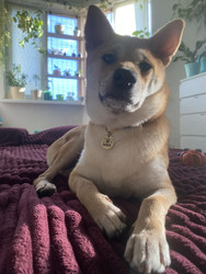 Similar image 22285860