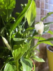 Similar image 22285861