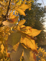 Similar image 22285862