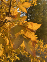 Similar image 22285863