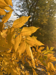 Similar image 22285864