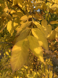 Similar image 22285865