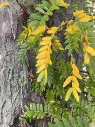 Similar image 22285867