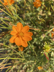 Similar image 22285868