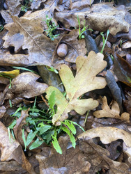 Similar image 22285869