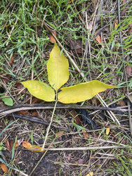 Similar image 22285871