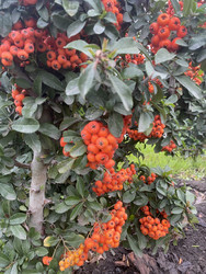 Similar image 22285872