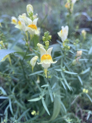 Similar image 22285873