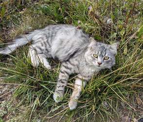 Similar image 22285215