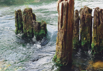 Similar image 22285216