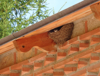 Similar image 22285219