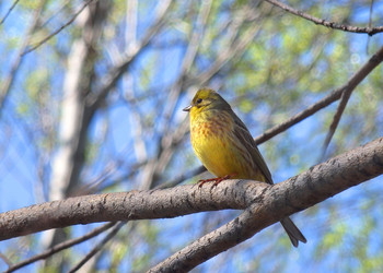 Similar image 22285221