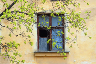 Similar image 22285222