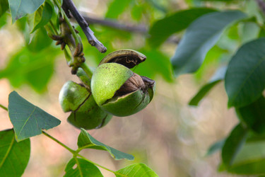 Similar image 22285641