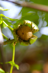 Similar image 22285642