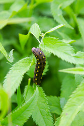 Similar image 22285643