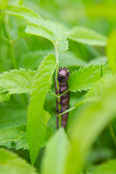 Similar image 22285644