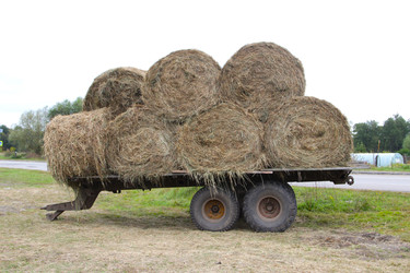 Similar image 22285645