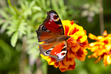 Similar image 22285646